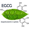 Epigallocatechin gallat - hoạt chất quý từ cây chè Việt Nam với tiềm năng ứng dụng trong chăm sóc sức khỏe và làm đẹp