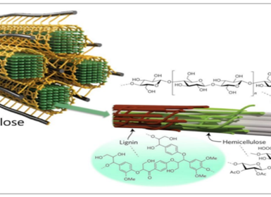 Nhiệm vụ KH&CN cấp bộ “Nghiên cứu tổng hợp nhựa có khả năng tự phân hủy sinh học Polylactic acid (PLA) từ phụ phẩm (vỏ) quả cà phê, ứng dụng chế tạo màng, tấm nhựa thân thiện môi trường”.