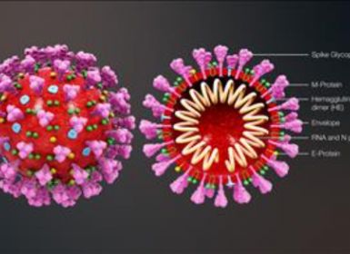 Một số lưu ý về Phòng, Chống dịch virus Corona (Covid 19)