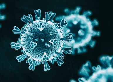 Vi khuẩn bảo vệ ruột khỏi sự xâm nhập của virus SARS-CoV-2