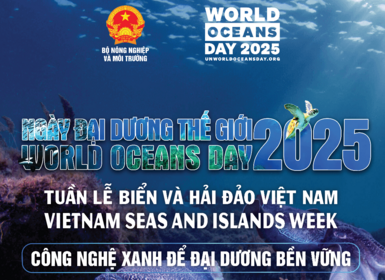 Viện VKIST hưởng ứng tuần lễ Biển và Hải đảo Việt Nam, Ngày Đại dương thế giới năm 2025