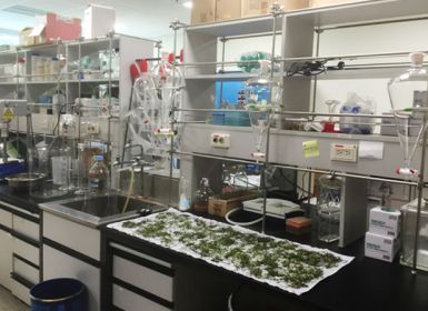 VKIST triển khai nghiên cứu bốn nhóm công nghệ chủ lực