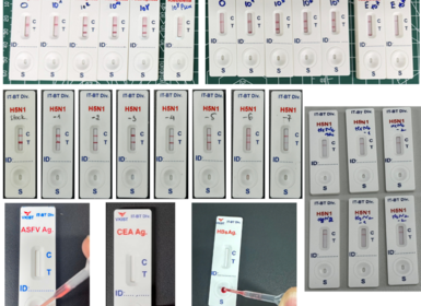 VKIST phát triển nền tảng que thử nhanh thế hệ mới