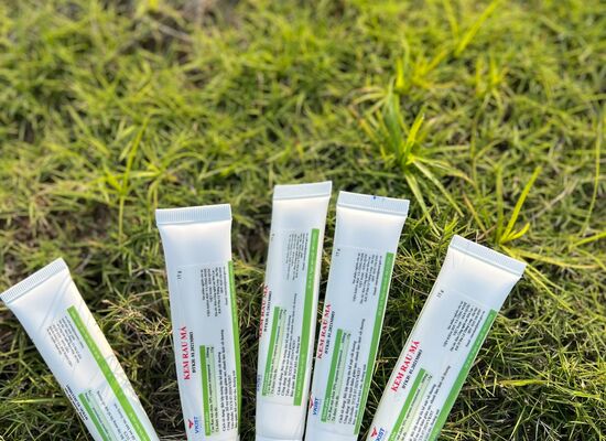 Kem Rau Má Plus – Ứng dụng dược liệu Việt trong hỗ trợ phục hồi vết thương bỏng