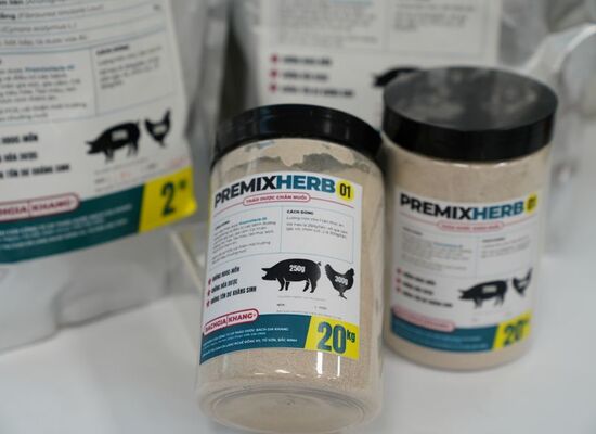 Thảo dược thay thế kháng sinh giúp phòng ngừa tiêu chảy ở lợn con