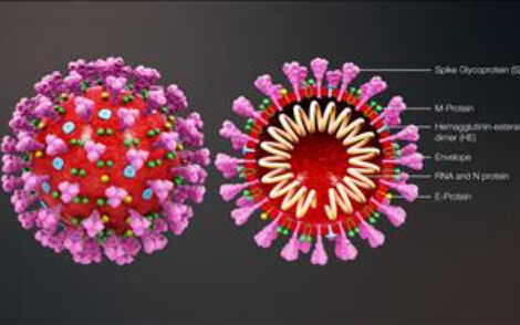 Một số lưu ý về Phòng, Chống dịch virus Corona (Covid 19)