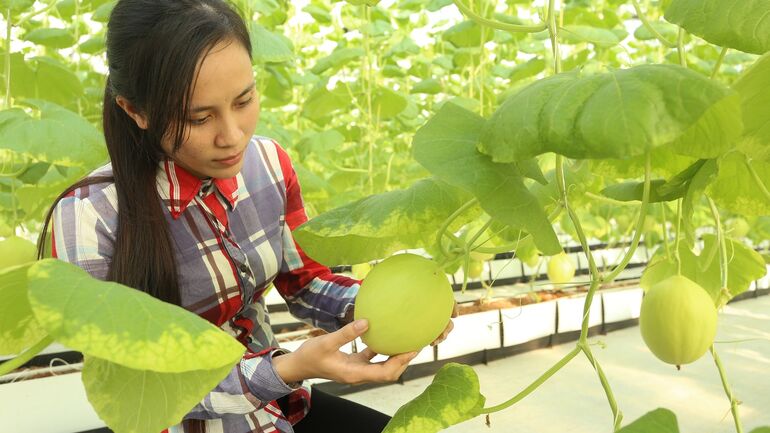 Thúc đẩy phát triển nông nghiệp công nghiệp hóa hành lang đường Hồ Chí Minh vùng Bắc Trung Bộ