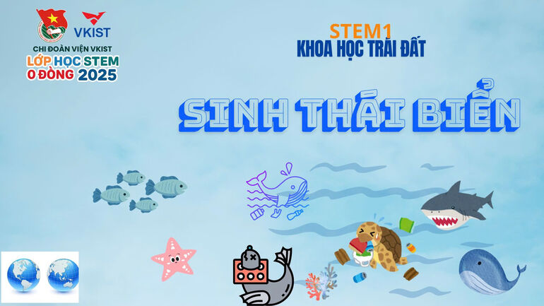 Lan tỏa sứ mệnh gìn giữ đại dương xanh từ lớp học STEM 0 đồng của VKIST
