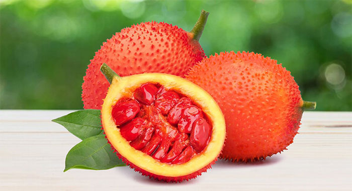 Xác định hàm lượng carotenoid ở các giai đoạn chín khác nhau của quả Gấc [Momordica cochinchinensis (Lour.) Spreng.] thu hái tại Việt Nam và xây dựng phương pháp chiết xuất, bảo quản, lưu trữ sản phẩm carotenoid từ Gấc