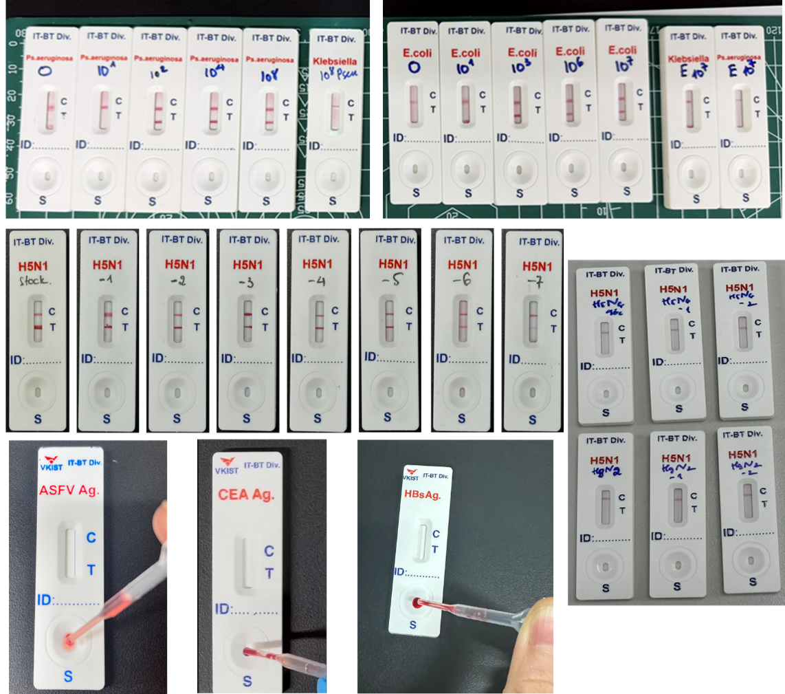 VKIST phát triển nền tảng que thử nhanh thế hệ mới